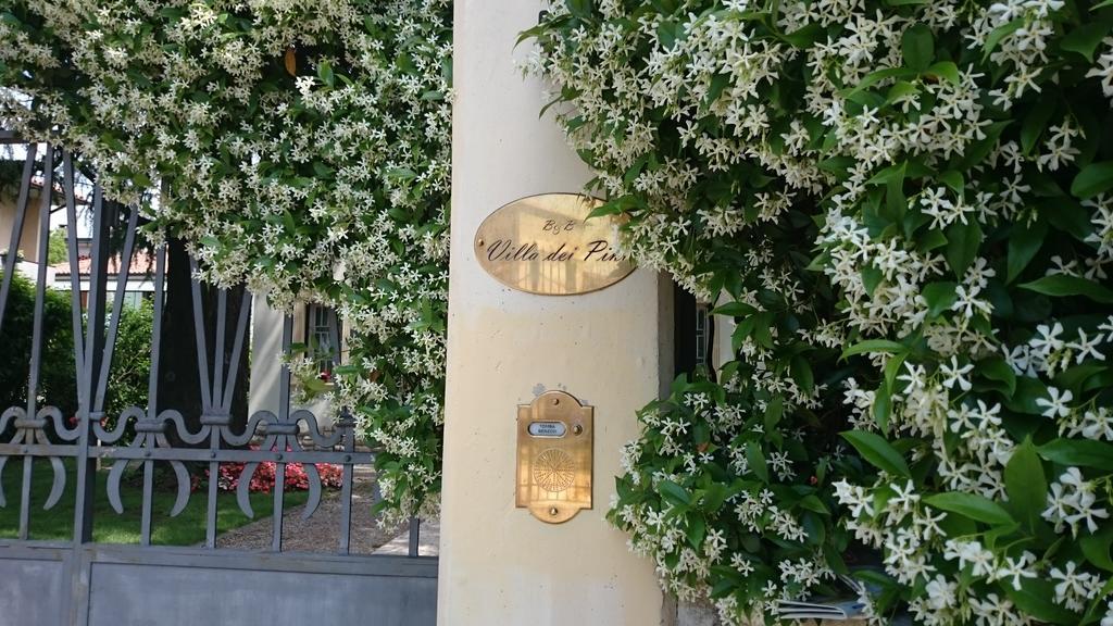 B&B Villa Dei Pini Domegliara Bagian luar foto