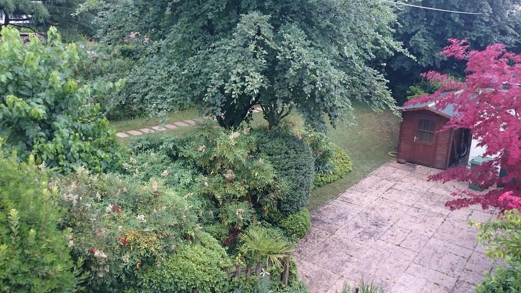 B&B Villa Dei Pini Domegliara Bagian luar foto